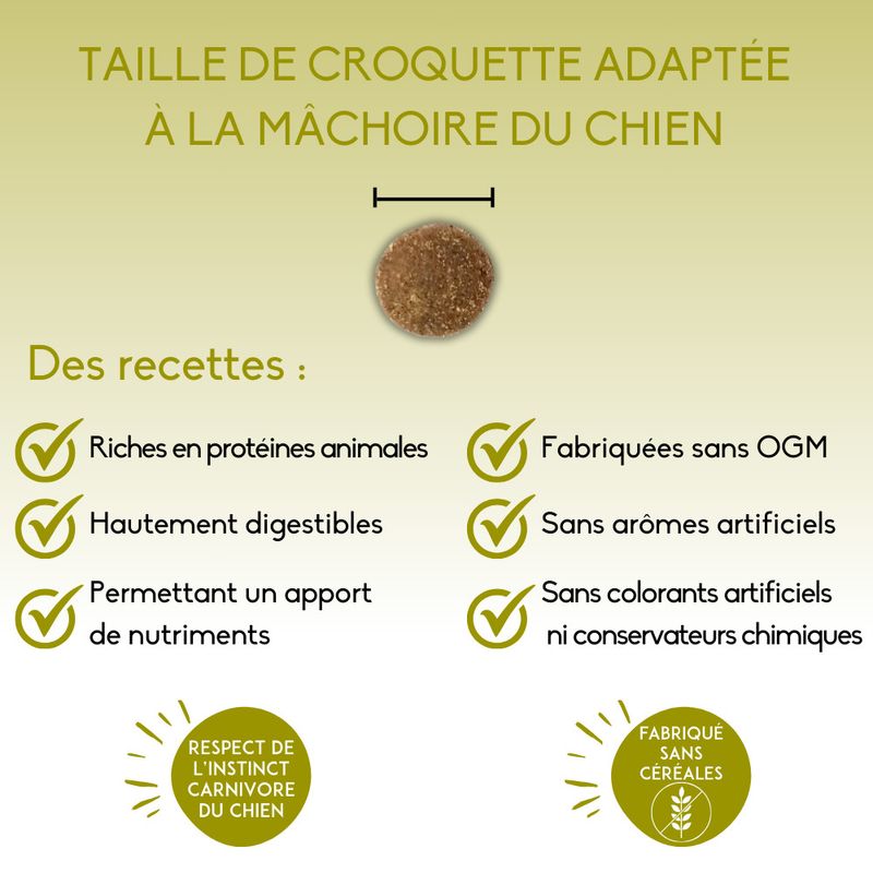 Nutrivet Inne Balance