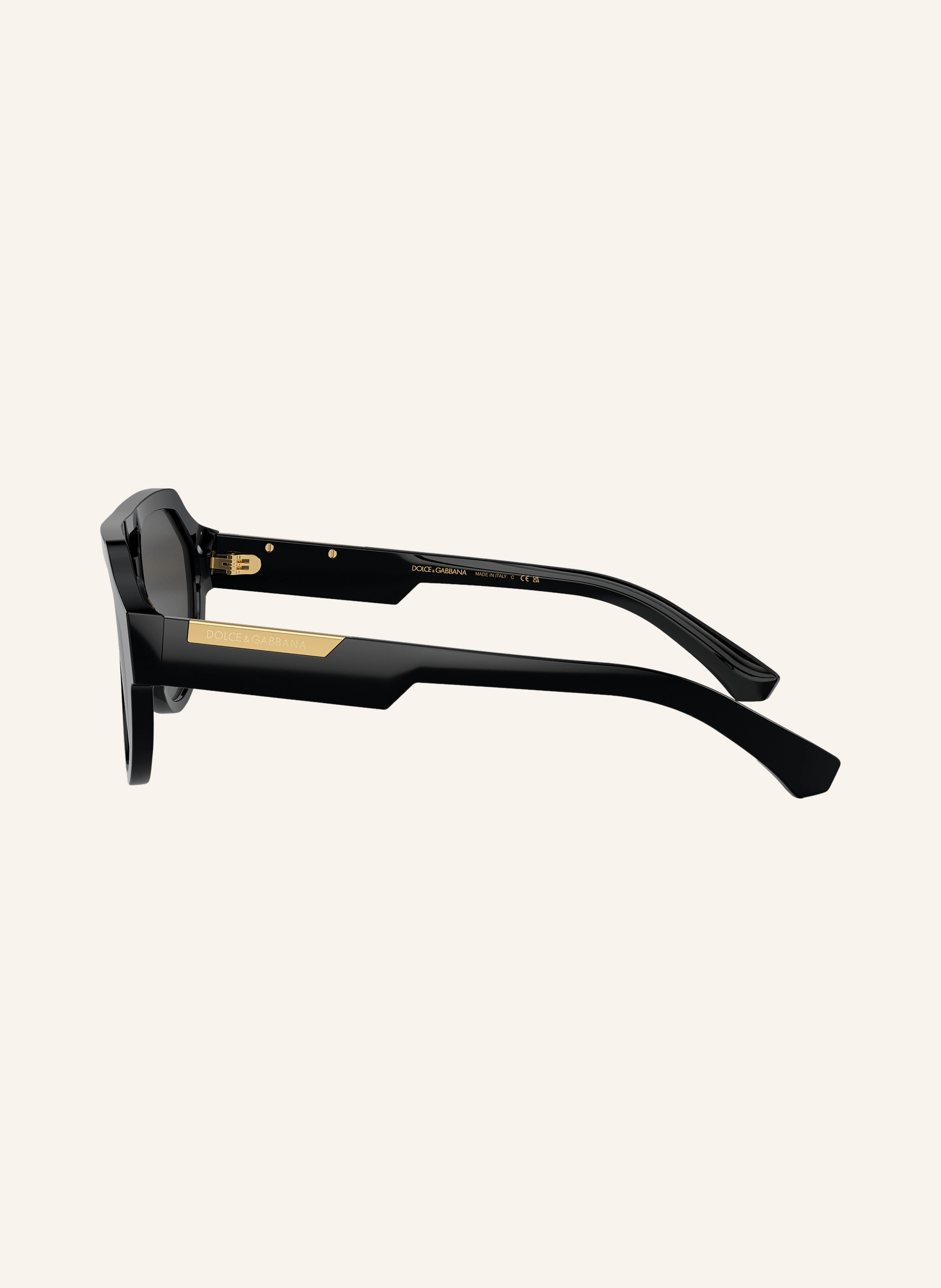 DOLCE & GABBANA Sonnenbrille DG4466
