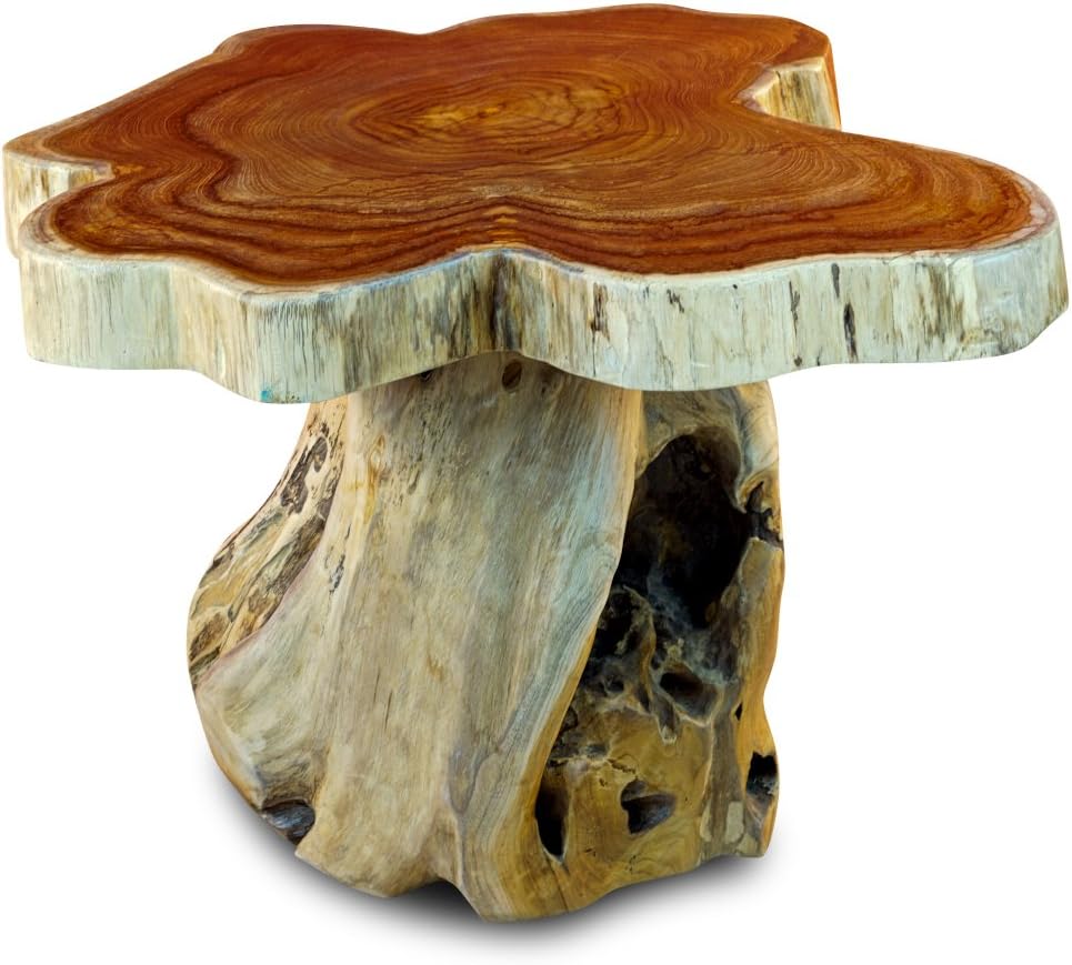 Kinaree Holz Beistelltisch mit Baumscheibe ALOR Setar mit Ø ca. 60cm - Kleiner Wurzelholz Couchtisch aus massivem Teak in rustikaler Optik mit Tischplatte aus Wurzel Baumscheibe (50 x 55-60 cm)