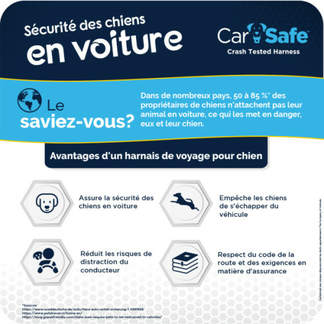 Harnais Crash Tested transport en voiture CarSafe pour chien