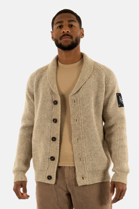 Gilets cardigans freeman t. porter ralph bellagio rcp65 f793 beige