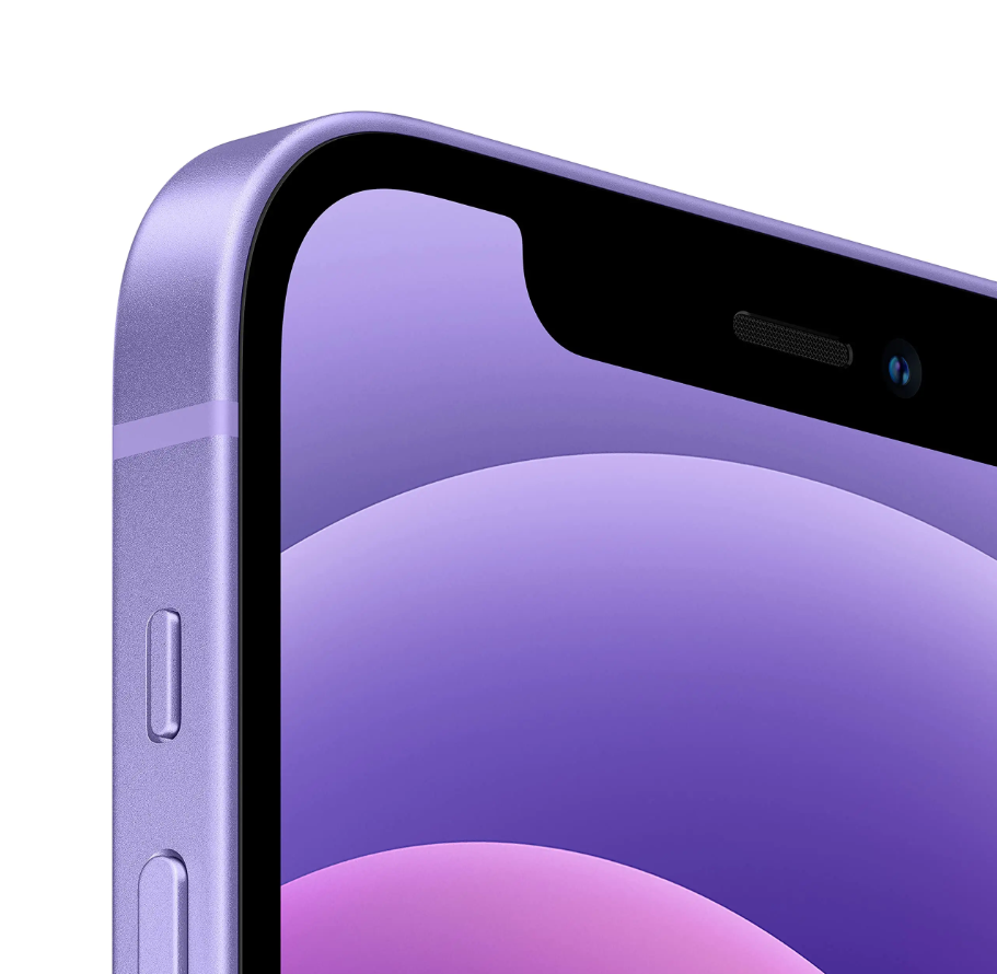 Apple iPhone 12 (256 GB, roxo)
