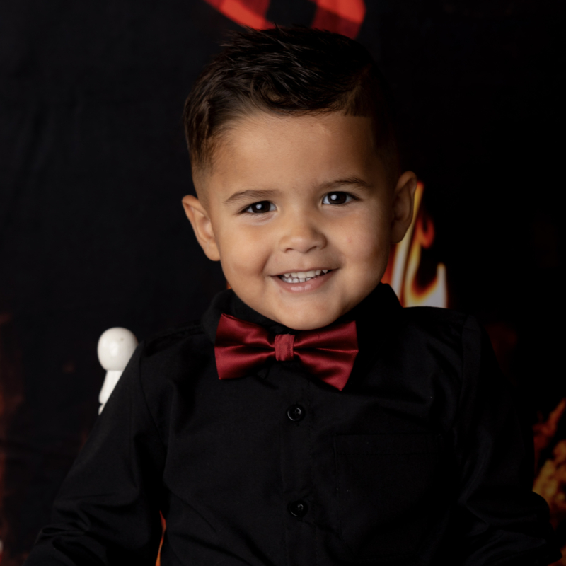Bow tie - bordeaux