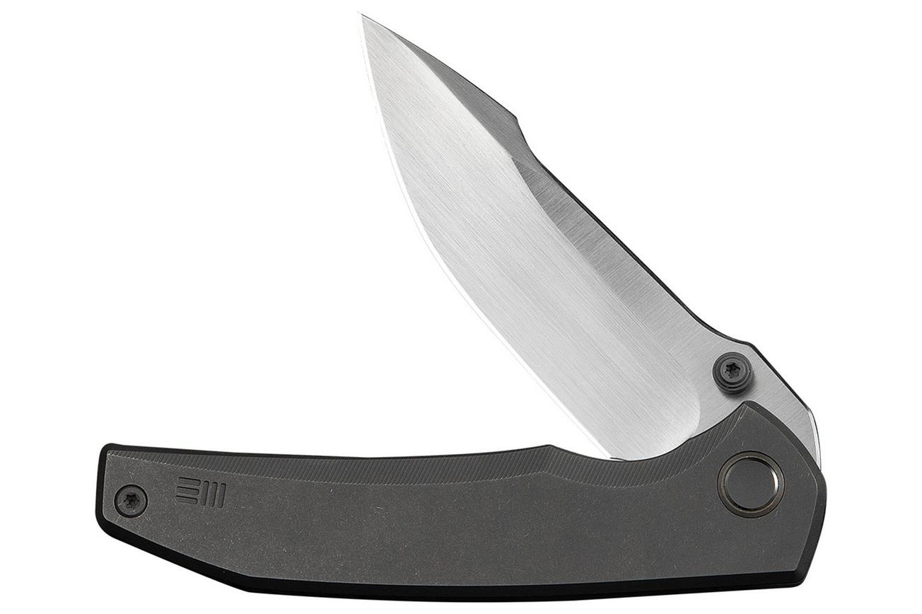 WE Knife Ryson WE24086-2 Hand Satin Böhler M390, Gray Titanium, zakmes, Raven The Pirate design