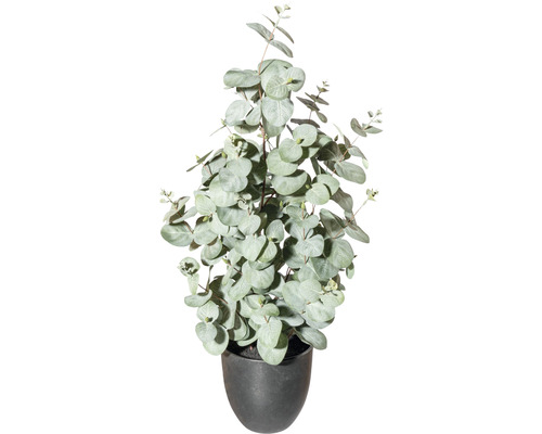 Kunst eucalyptus plant, hoogte: 60 cm, groen