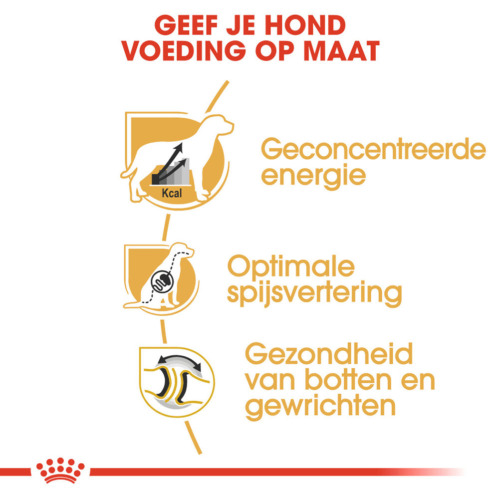 Royal Canin Great Dane Adult - Hondenvoer