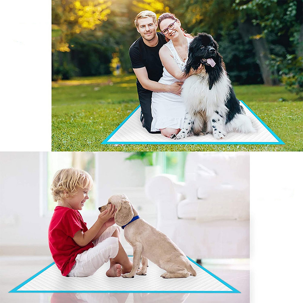(40er Set) 60x60cm Absorbierende Welpen Hygiene Matte Haustier Unterlage - Blau