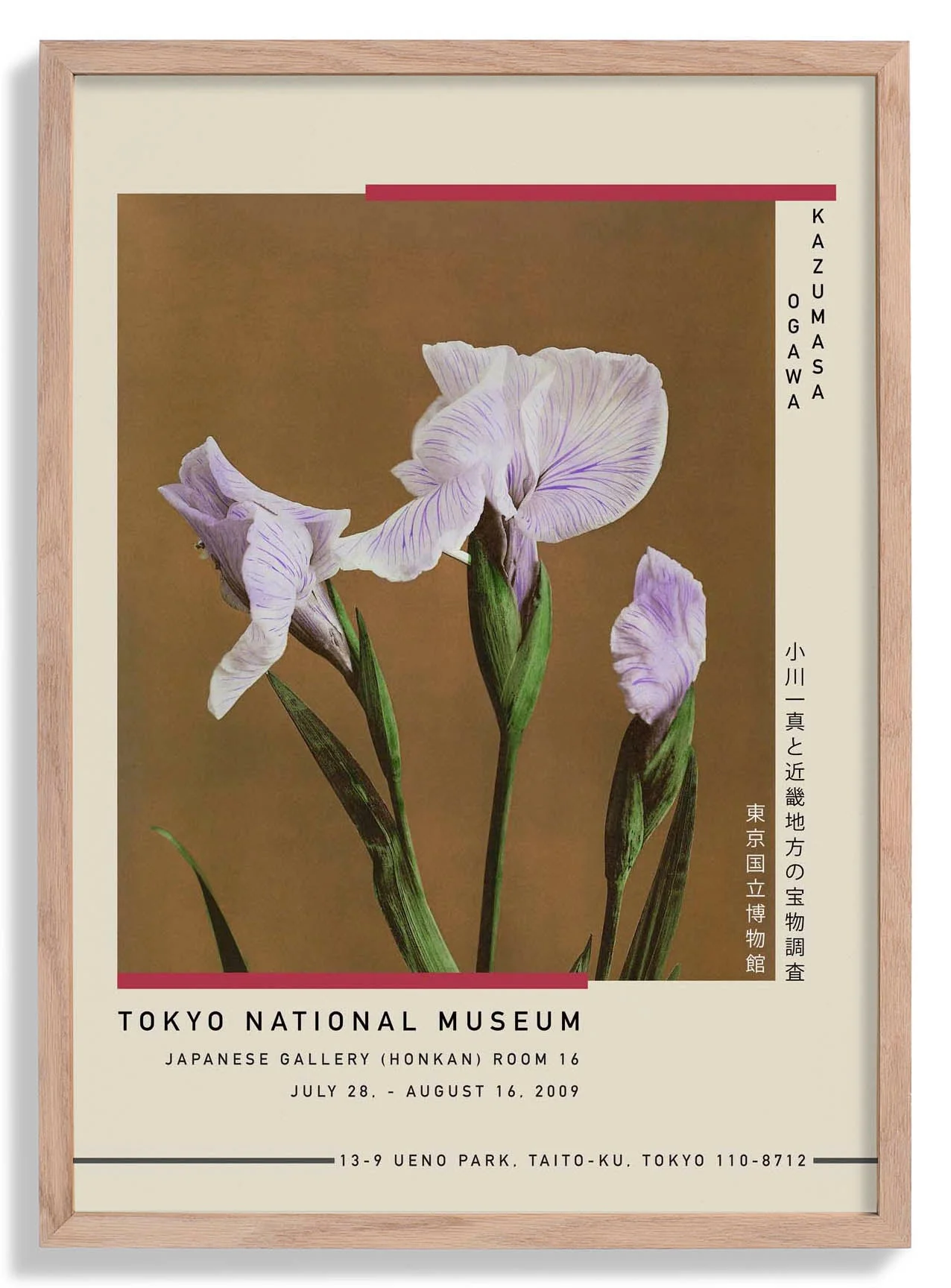 Drei Iris Kæmpferi von Kazumasa Ausstellung
