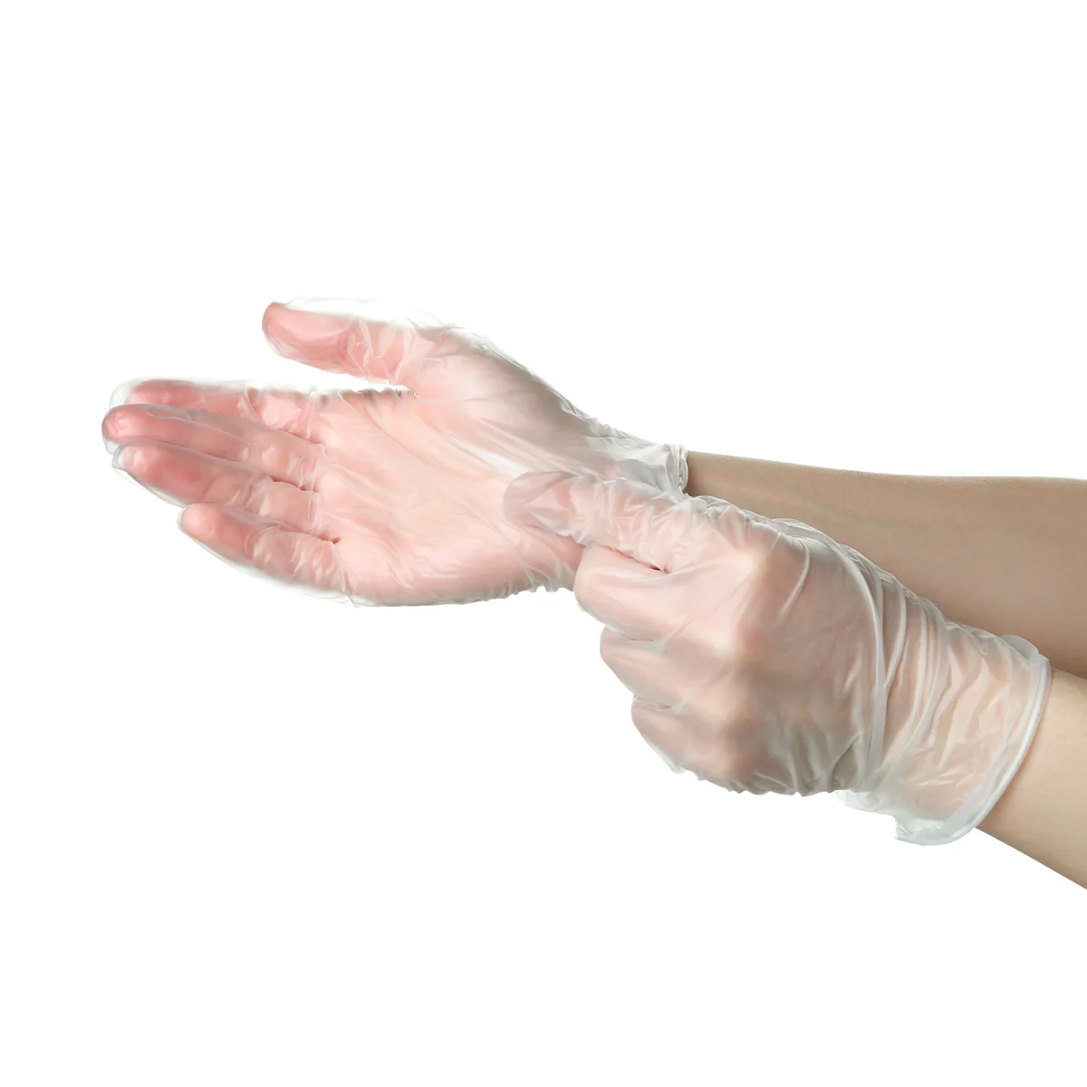 Gants Vinyles Non Poudrés X100