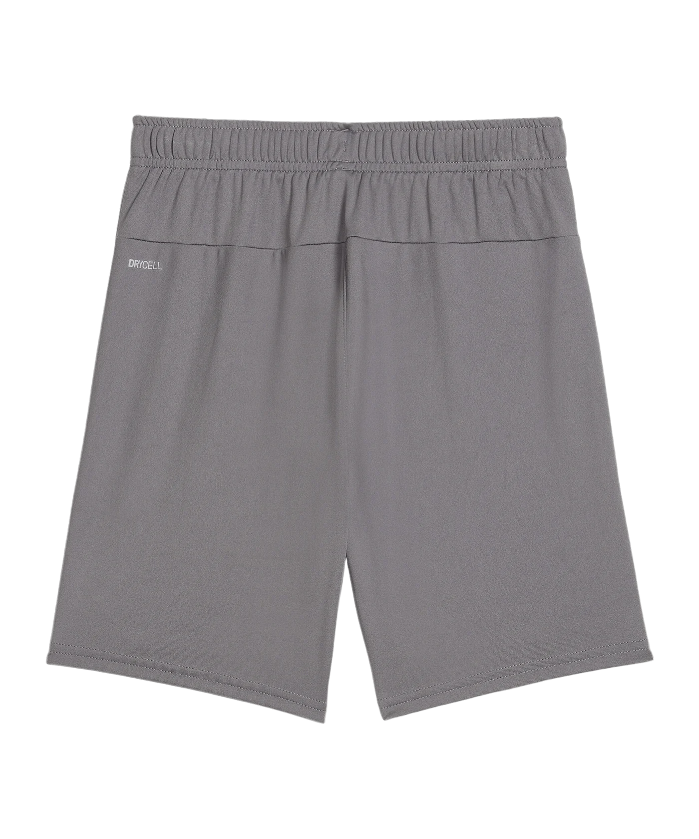 PUMA teamGOAL Short Kids Grau Weiss F13