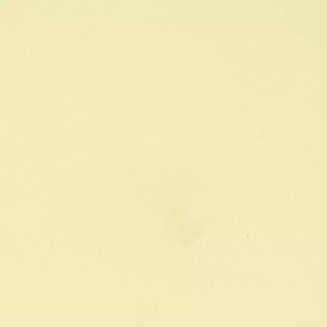 Speiseteller Confetti Ø 27 cm