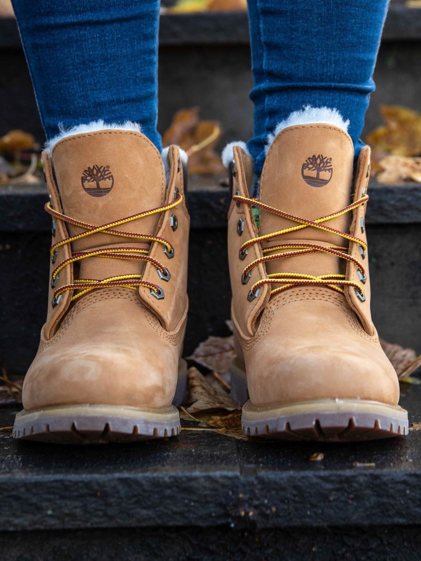 6 inch Premium Shearling Lined Wp Boot