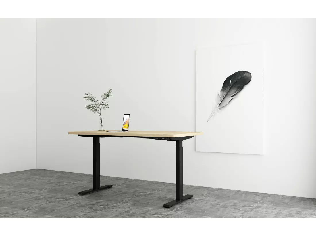 Bureau debout réglable en hauteur pour bureau à domicile, deux moteurs, bureau d'ordinateur debout électrique 58x180cm avec 4 préférences de mémoire, ports USB