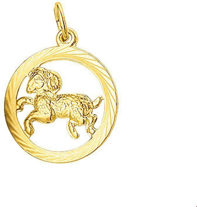 Hanger - Gediamanteerd - 14K Geelgoud - Ram - 4018371