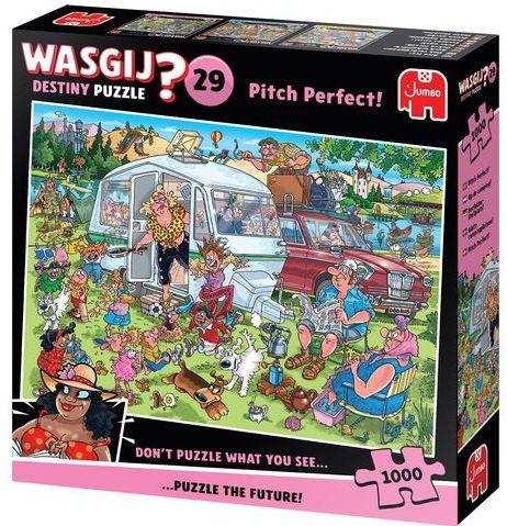 Jumbo - Wasgij Destiny 29 - Legpuzzel - Op De Camping - 1000 Stukjes