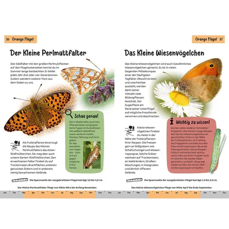 KOSMOS Kindernaturführer - Welcher Schmetterling ist das?