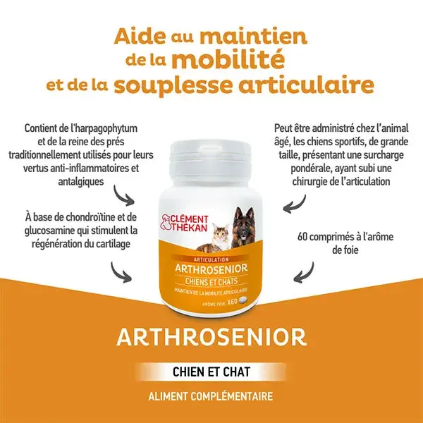 Clement Thekan Arthrosenior Chien Mobilité Articulaire 60 Comprimés