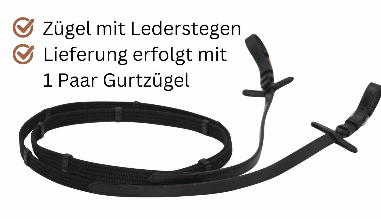 AMKA Trensenzaum Shiny dekoratives Stirnband Glitzersteine engl. komb.