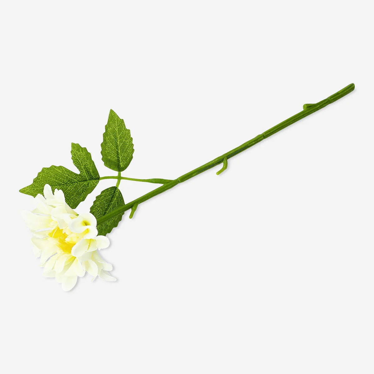 Dekorativ hvid blomst
