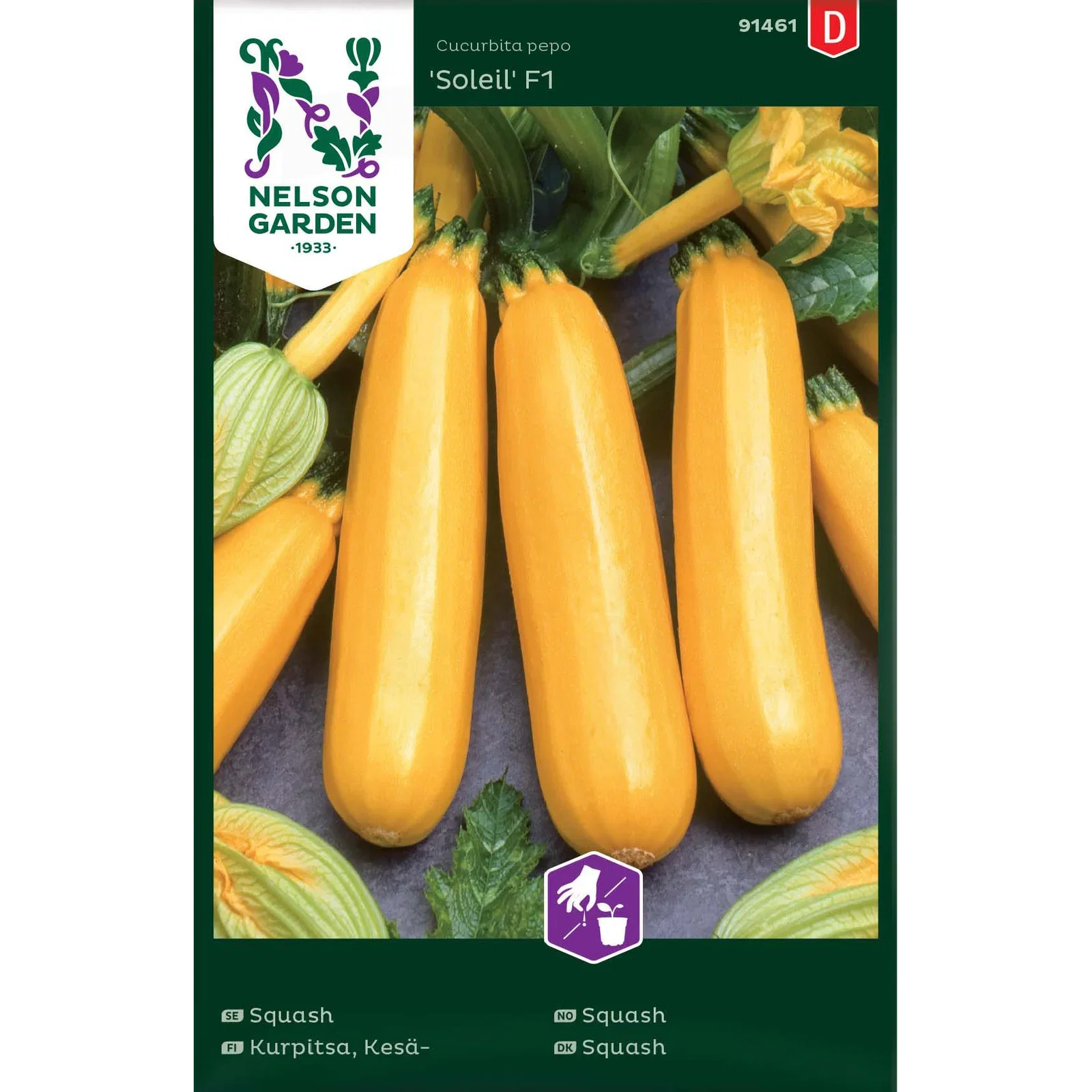 Cucurbita pepo 'Soleil' Squash 'Soleil'