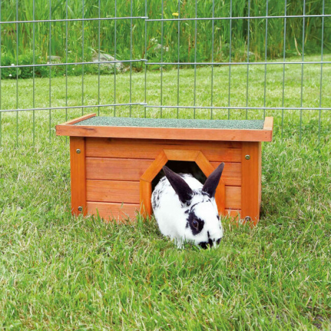 Abri Natura pin vernis pour petits animaux Coloris Brun