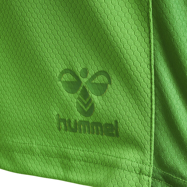 Hummel DBU Danmark målmandsshorts 22 Grøn