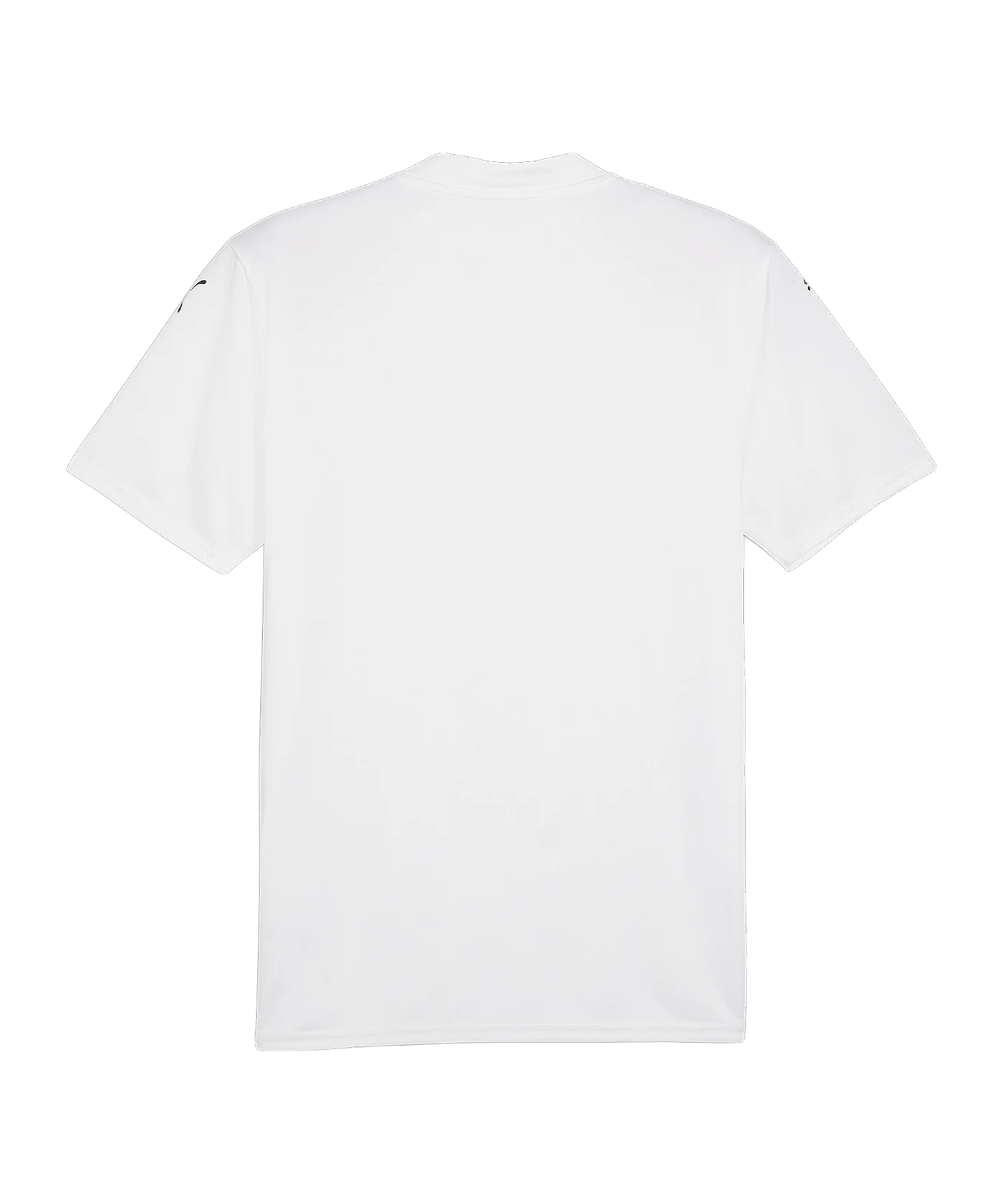 PUMA teamGLORY Trikot Weiss Schwarz Grau F04