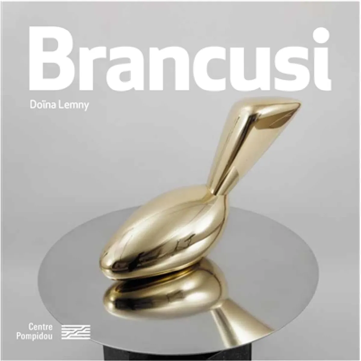 Constantin Brancusi : 1876-1957 · Occasion