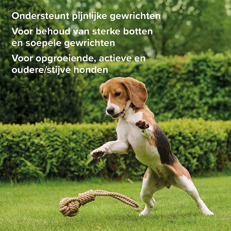 Beaphar Flexifit Chews Hond 175 gram | 15139