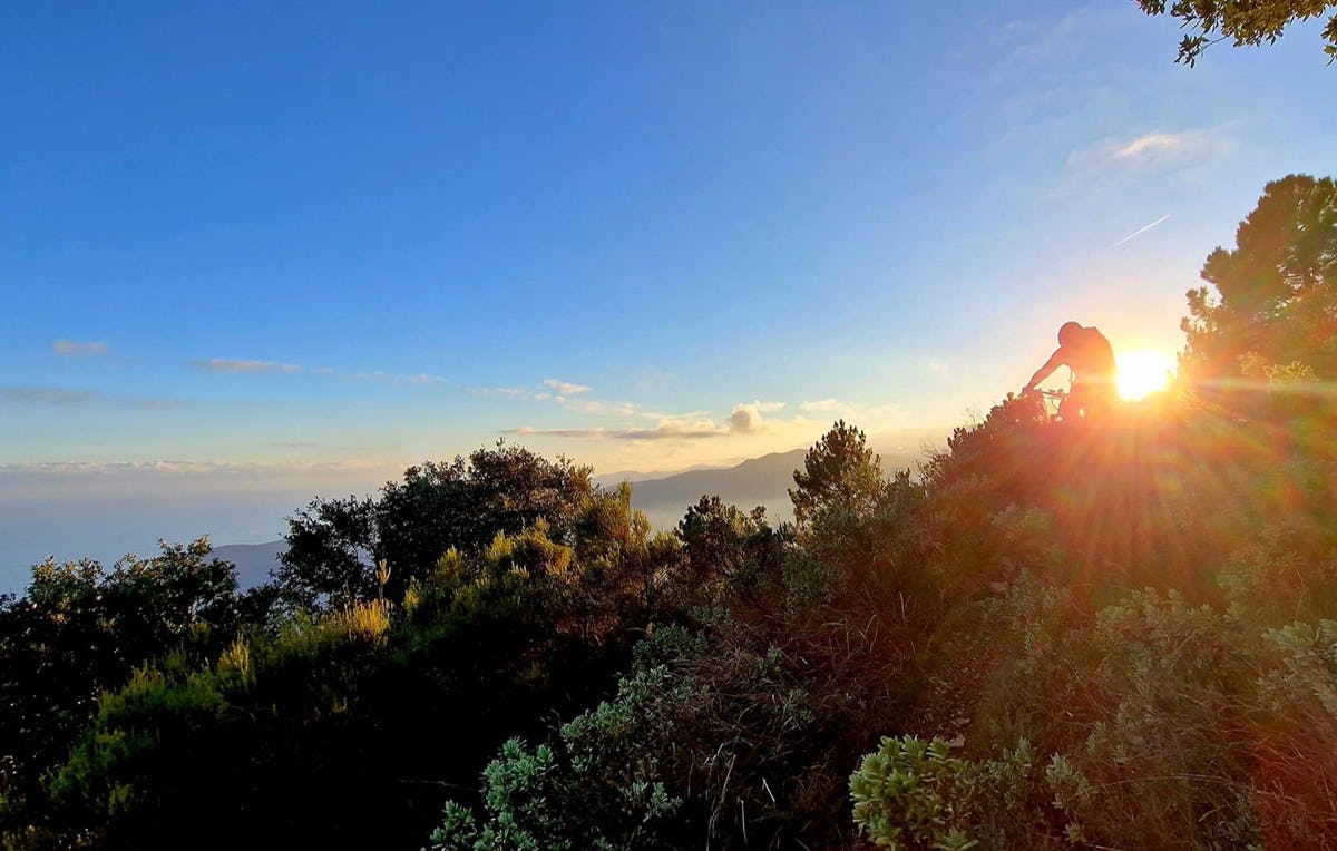 Mountainbikekurs in Freiburg als Geschenkidee