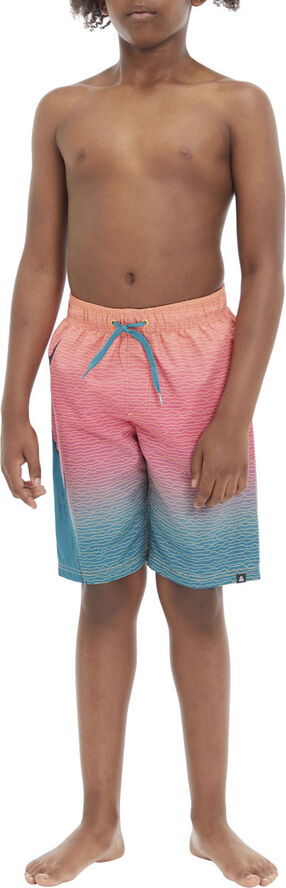 Firefly Naro III badeshorts Multifarvet