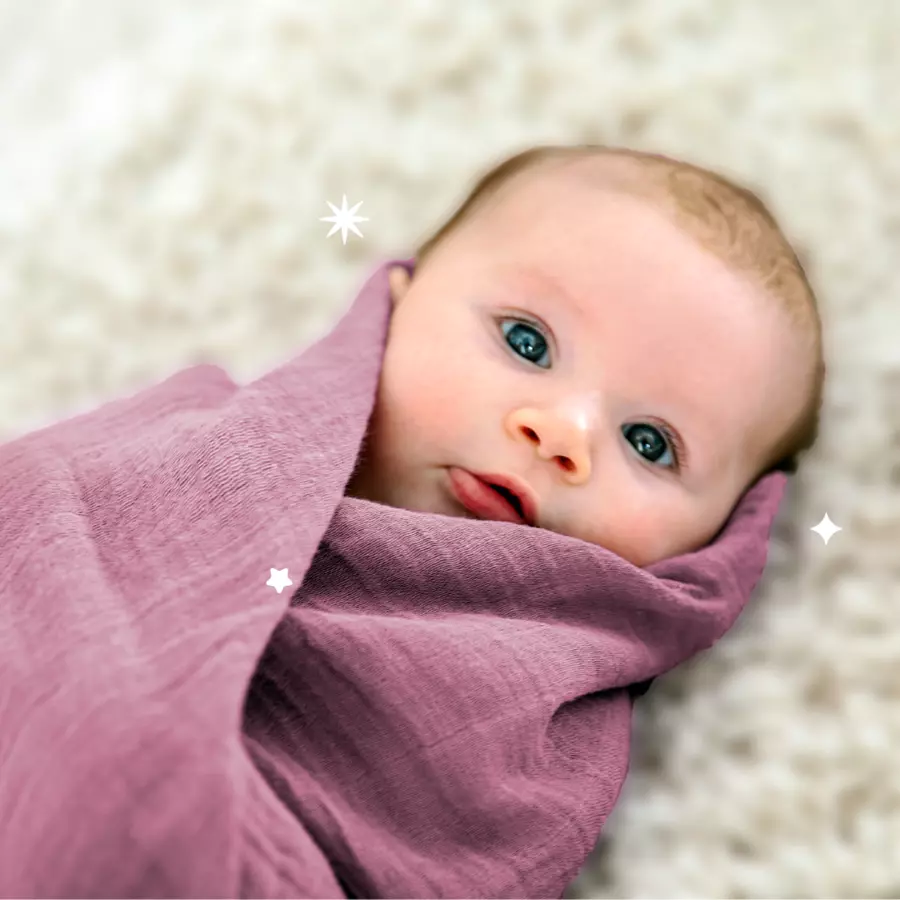 KOALA BABYCARE®Mullwindel Soft Touch 120 x 120 cm 2er-Pack - lila