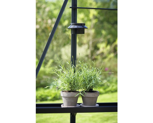 Juliana solar LED-lamp voor kassen