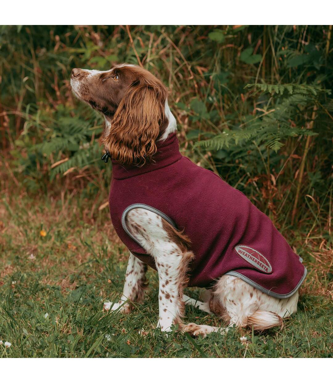 Weatherbeeta - Veste pour chiens COMFITEC (Pourpre / Gris) (25 cm) - UTWB1586