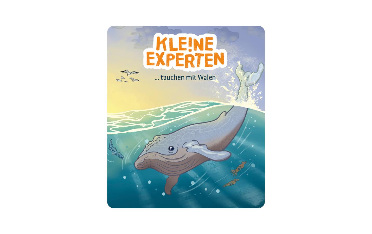 Hörbuch KLE!NE EXPERTEN tauchen mit WalenHörspiel