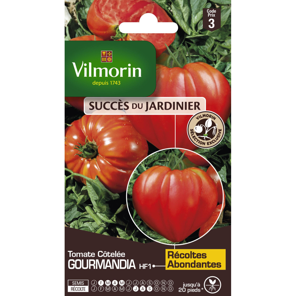 Sachet de graines tomate gourmandia hf1- saveur et résistance au jardin