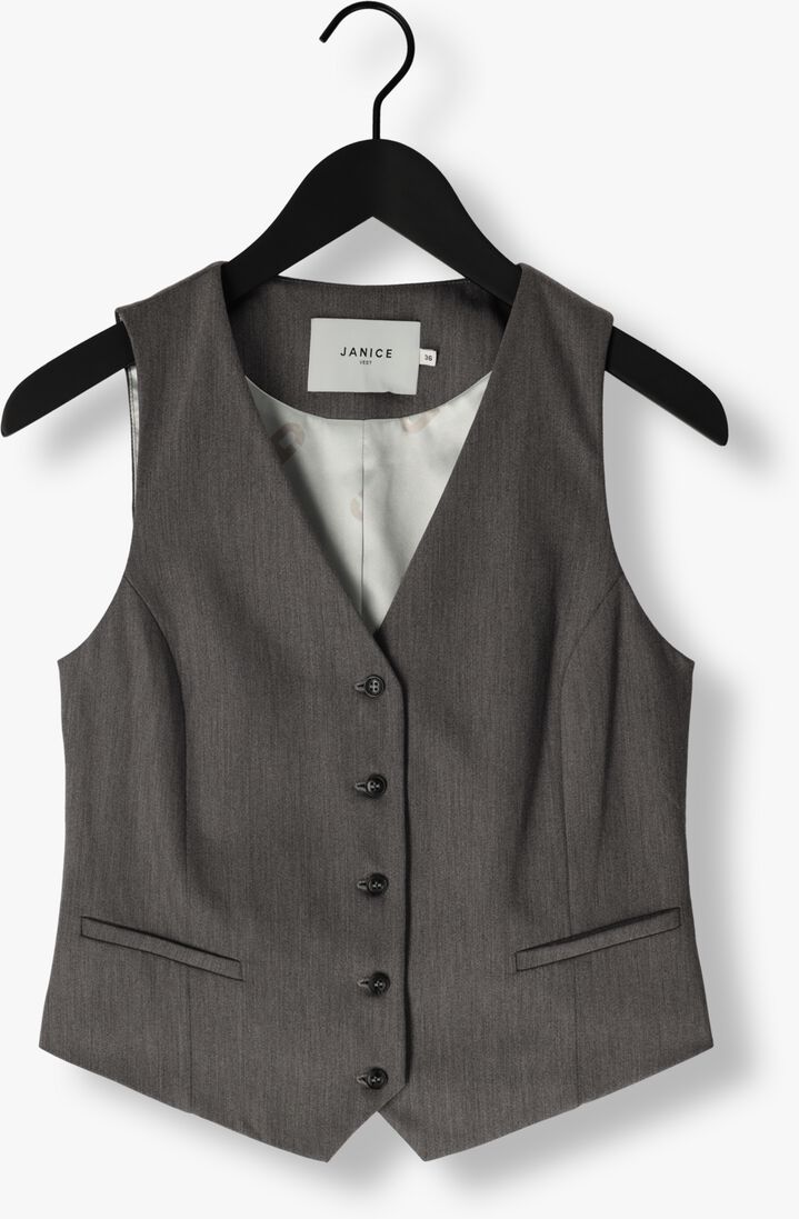 grijze janice gilet dave gilet