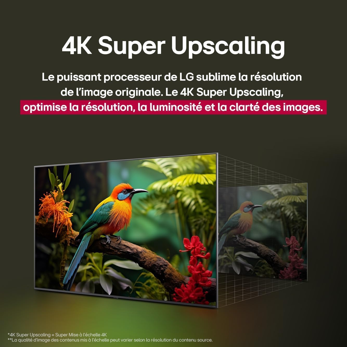 LG TV NANOCELL AI 2025 | 75NANO90| 75'' (189cm) | 4K UHD | HDR10 |webOS 25 | Télécommade AI Magic Remote | Alexa, Google Assistant | Netflix Disney+ C