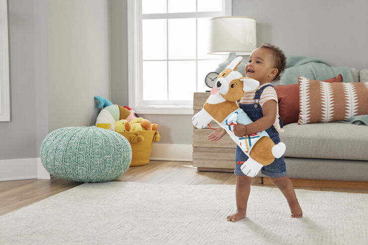 Fisher Price FP 3-1 Puppy tummy wedge