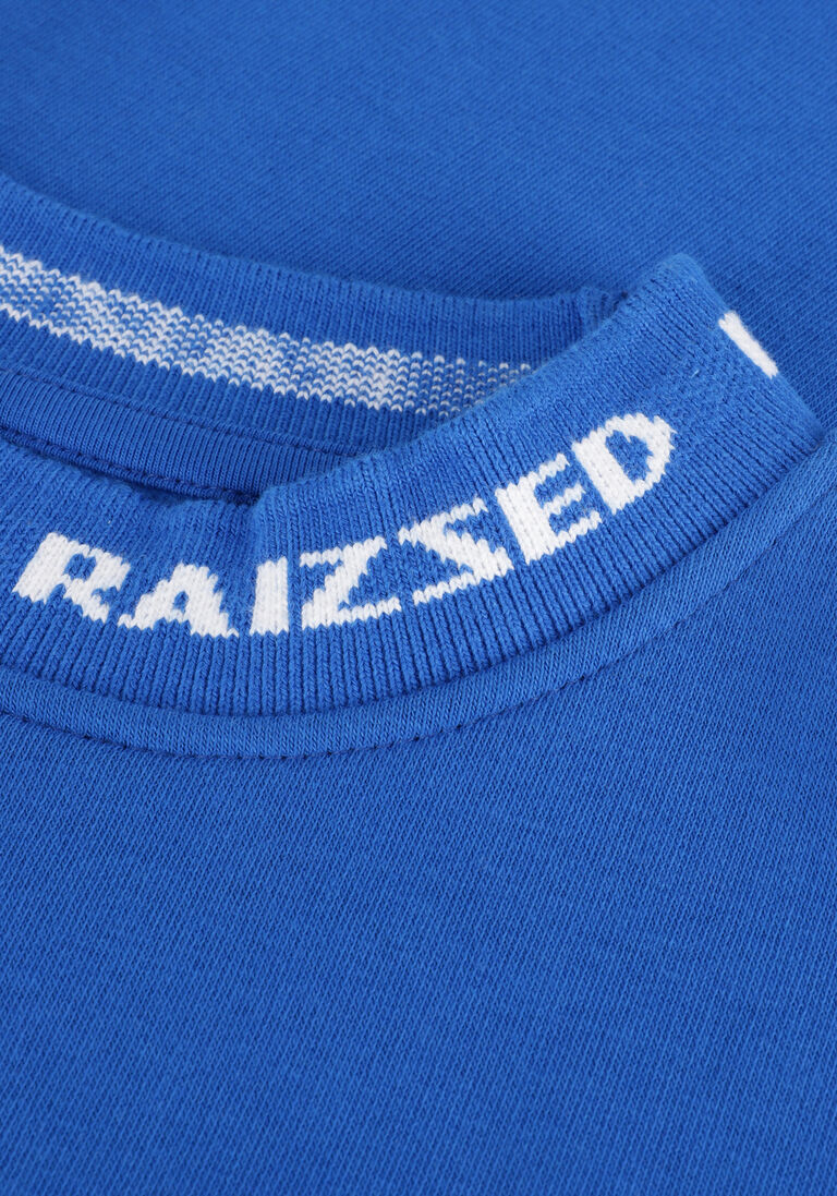 RAIZZED blauwe raizzed trui mitchel