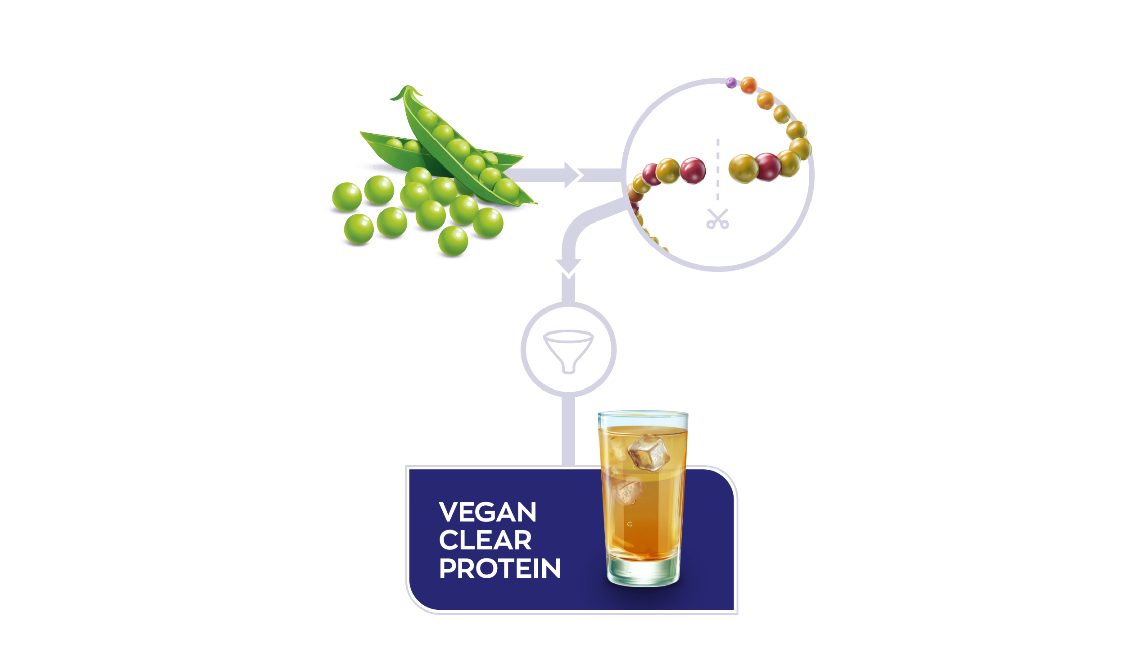 Vegan Clear Protein