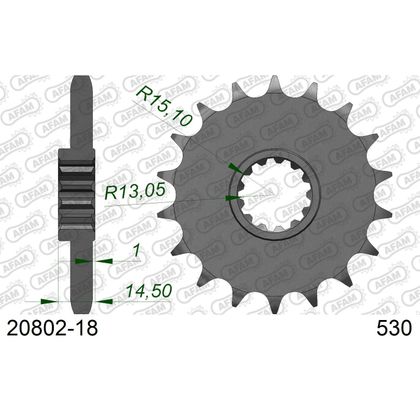 Kit chaine AFAM 530 Type Acier Premium