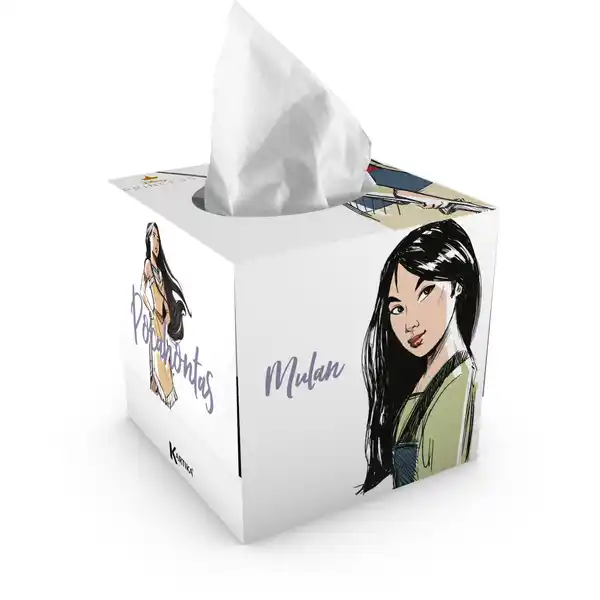 Disney Princess Kosmetiktücher in Design-Box