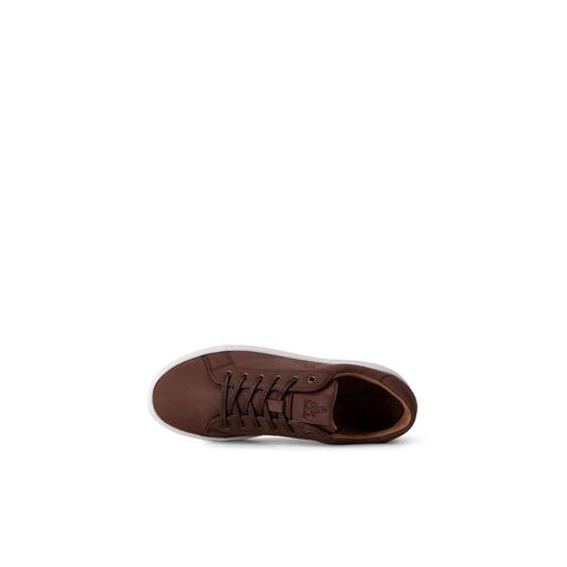 Zapatillas Dakar Pisco Ar