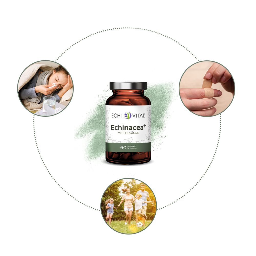 Echt Vital Echinacea+