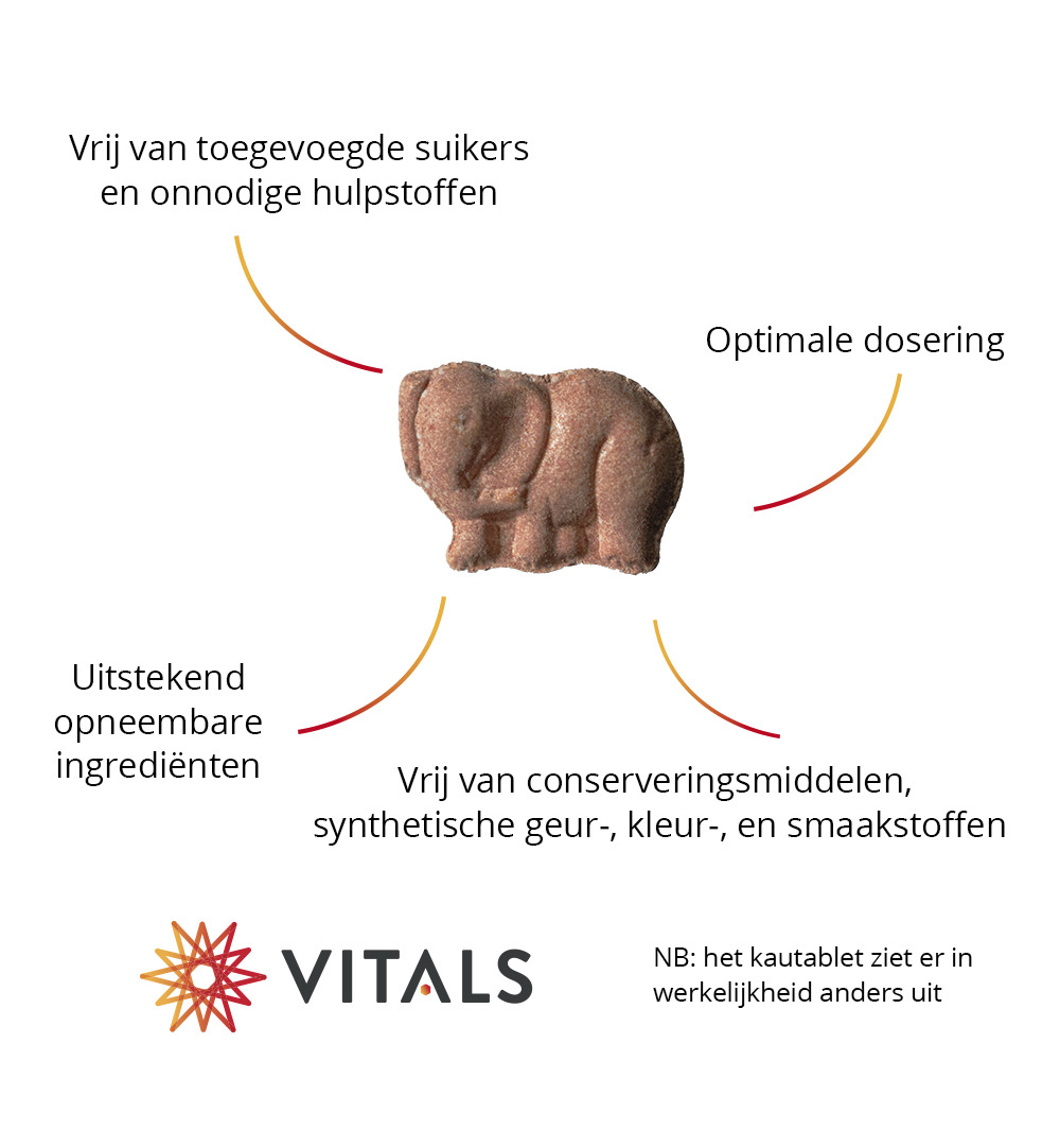 Vitals Elke dag junior (30 kauwtabletten)
