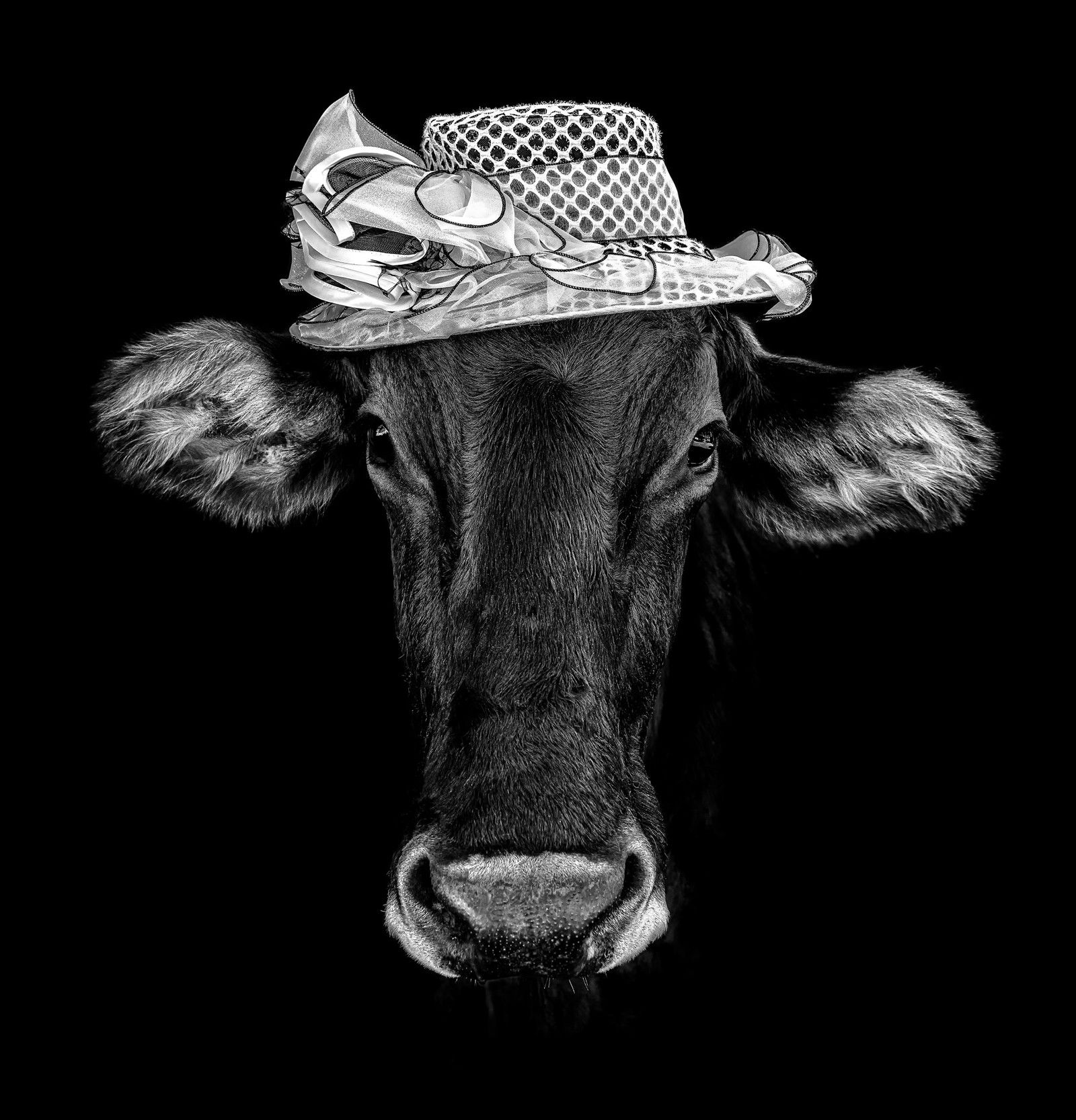 Fortuna II by Claudio Gotsch - Limited Edition. Edition of: 150. Signed.