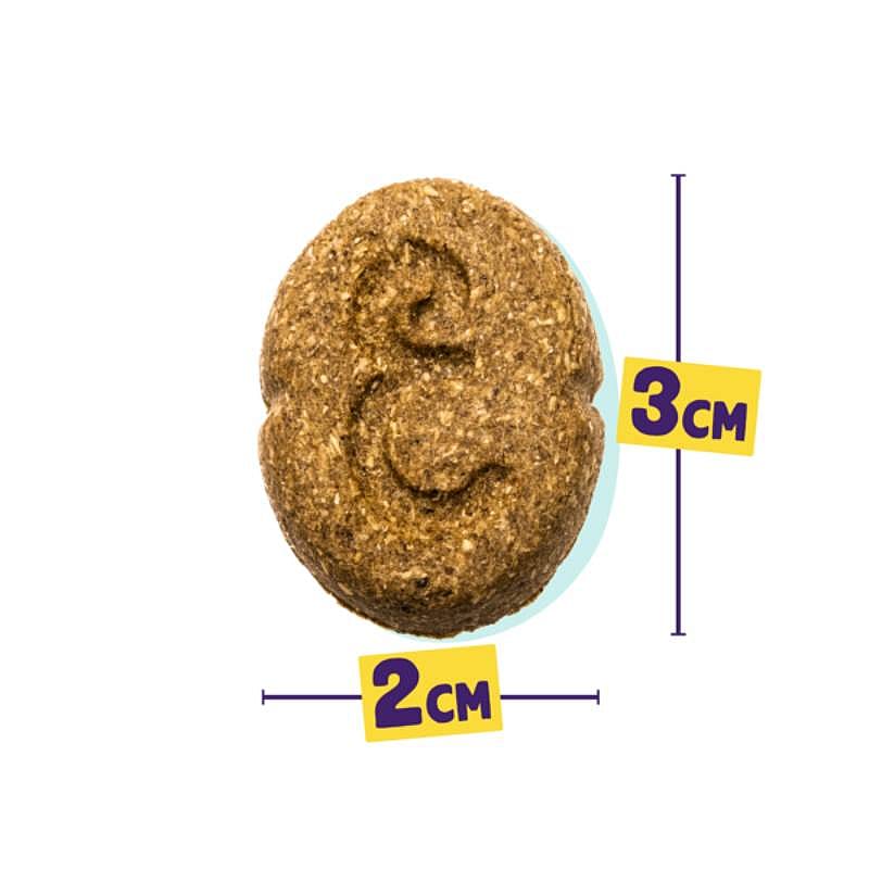 Edgard & Cooper Limited Edition ''Kerst'' Biscuits Hondensnack Kalkoen Eend 400 gram | 13402