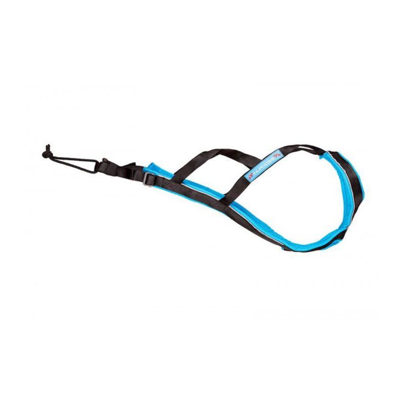 Polar Evo - Harnais pour chien