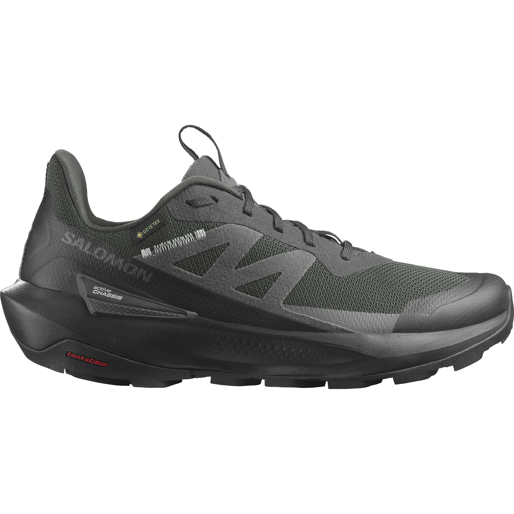 Salomon Outdoorschuh »ELIXIR ACTIV GORE-TEX«  wasserdicht